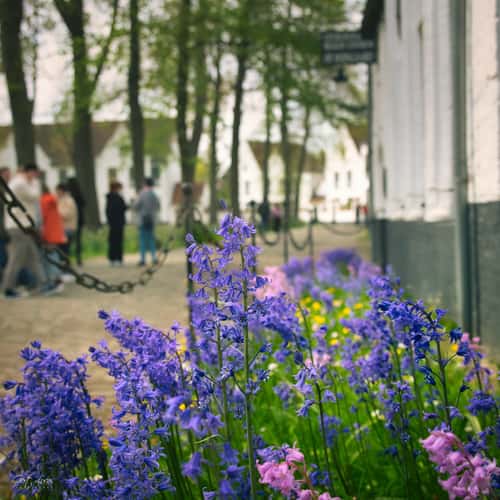 Begijnhof Brugge Poorthuis