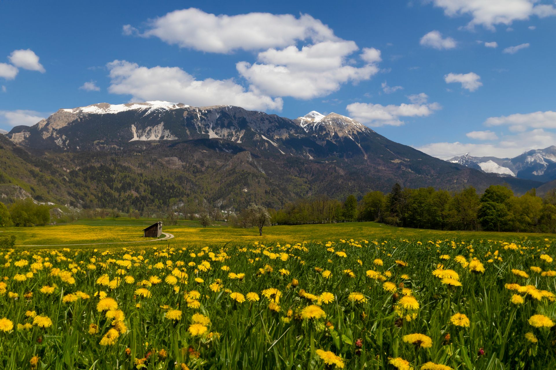 Blejska Dobrava, Slovenia