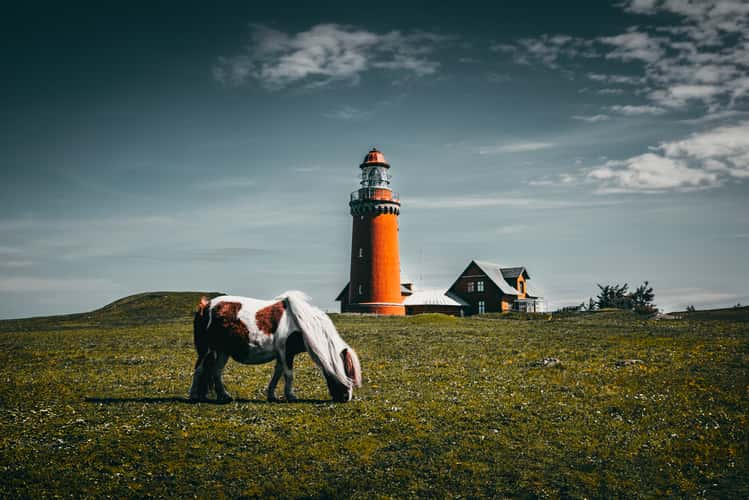 Bovbjerg Fyr