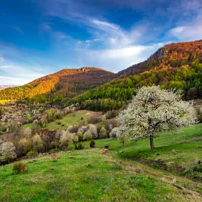 Brdarka village, Slovakia (Slovak Republic)