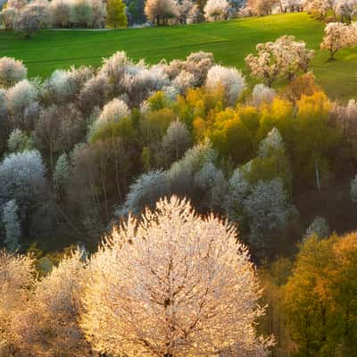 Brdárka village, Slovakia (Slovak Republic)