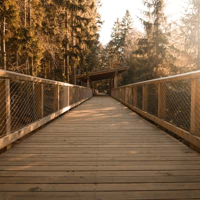 Bridge by the Wolf Enclosure, Czech Republic