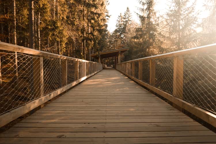 Bridge by the Wolf Enclosure