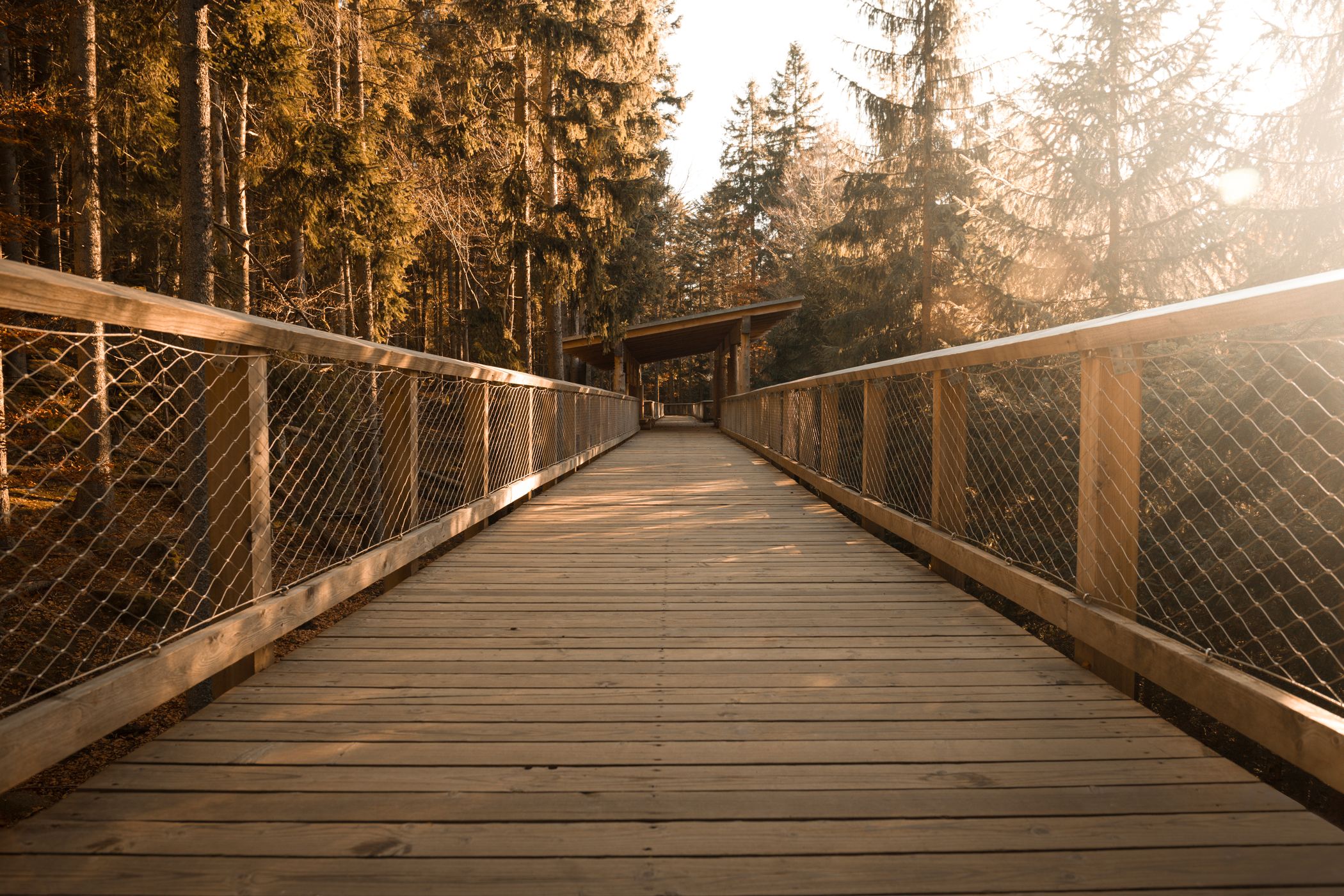 Bridge by the Wolf Enclosure, Czech Republic