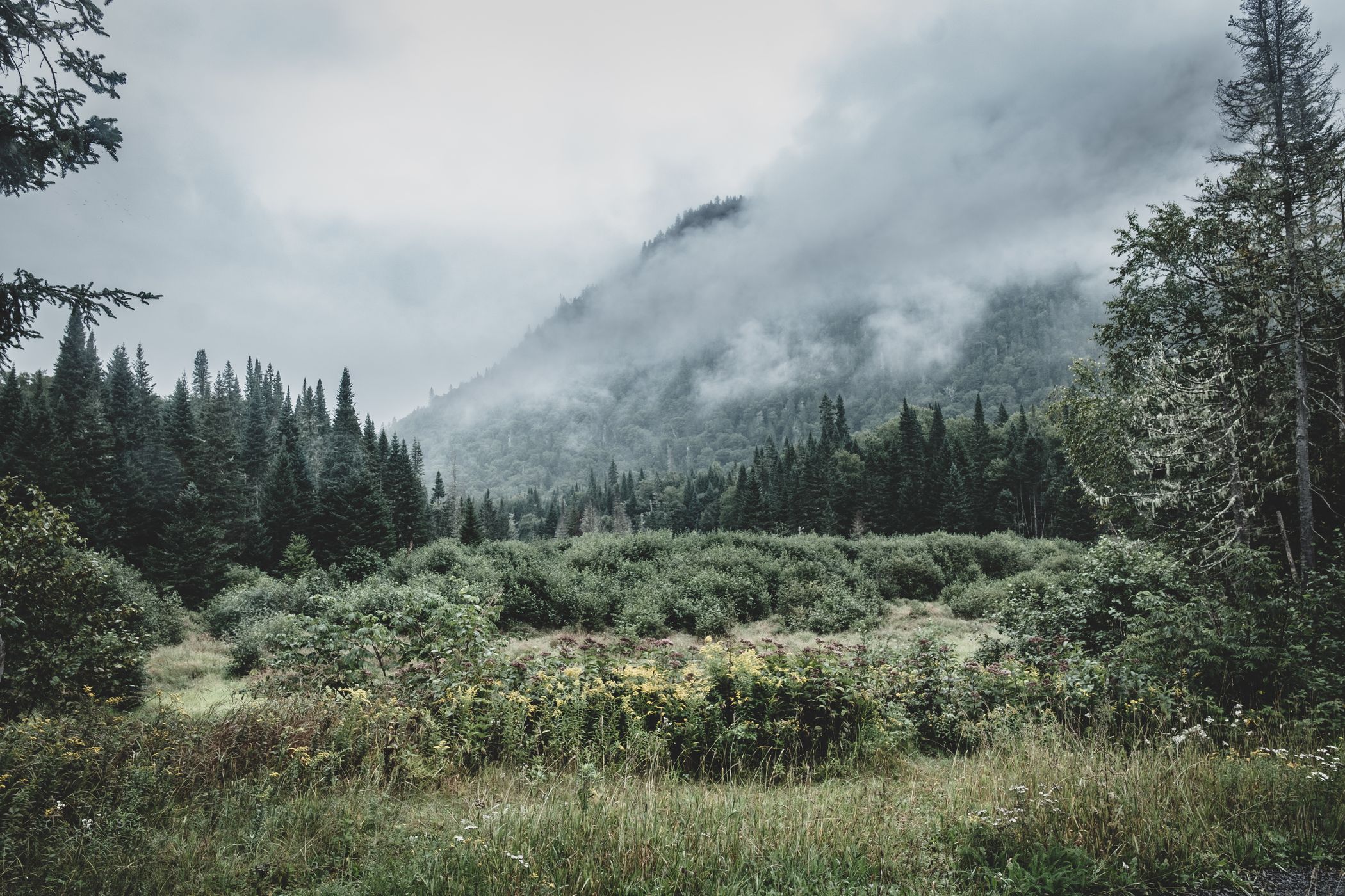 Campsite, Canada