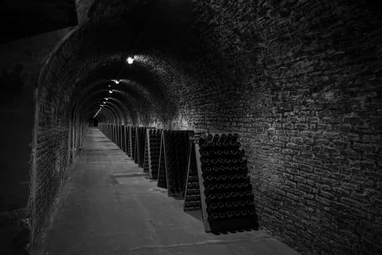 Champagne Caves