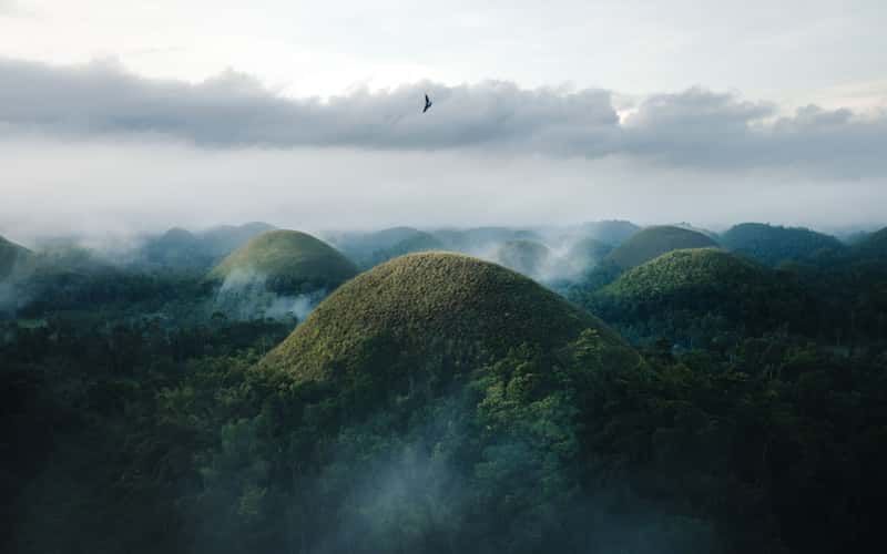 Chocolate Hills