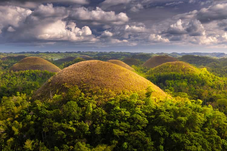 Chocolate Hills