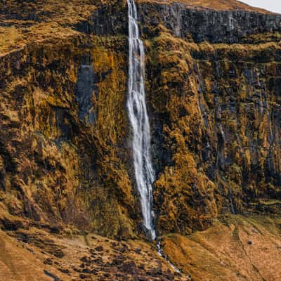 Drífandi, Iceland