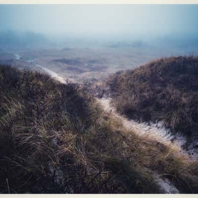 Dunes, Juist, Germany