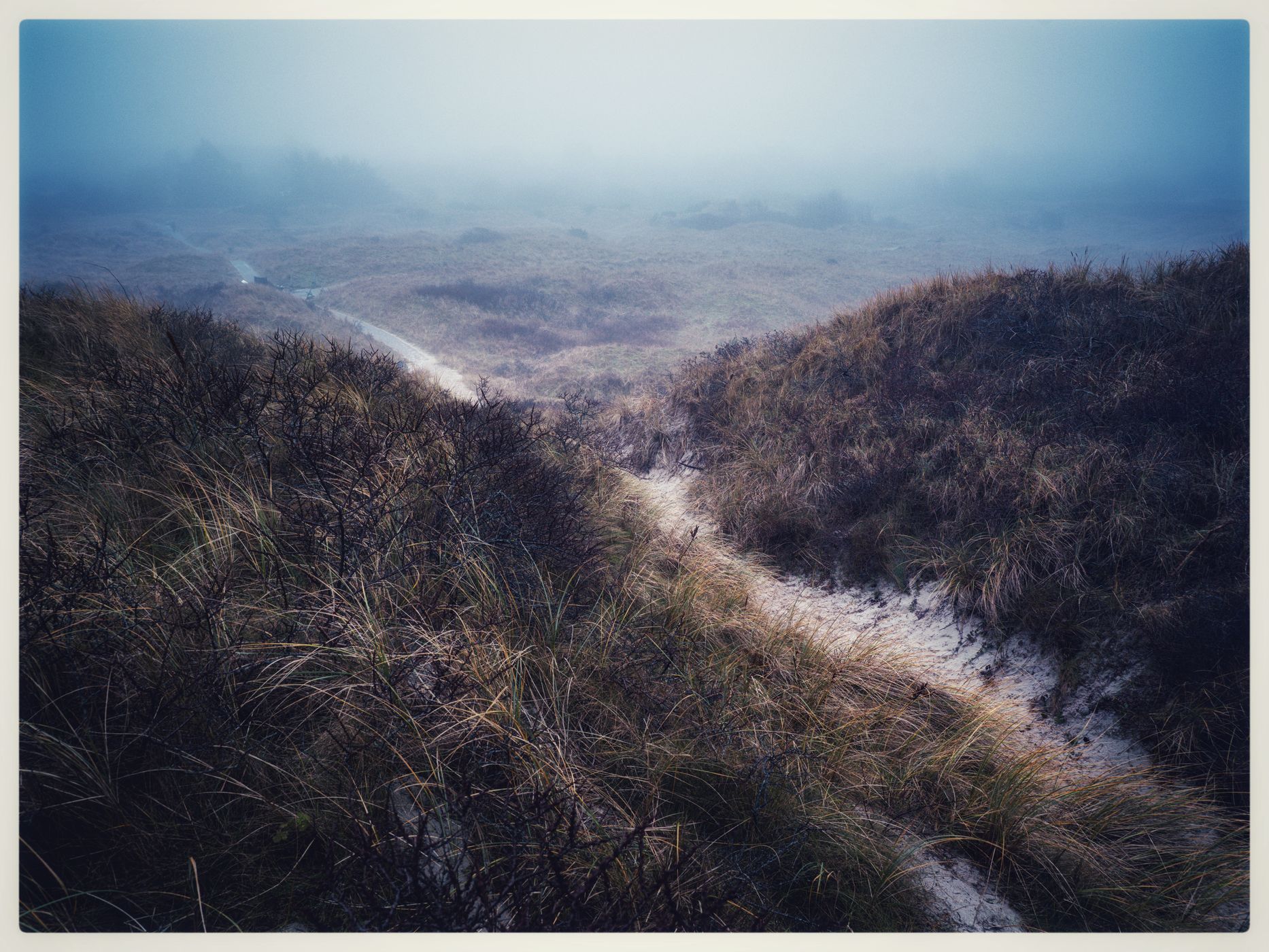 Dunes, Juist, Germany