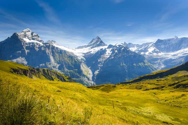 Eiger Ultra Trail, First
