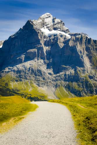 Eiger Ultra Trail, First