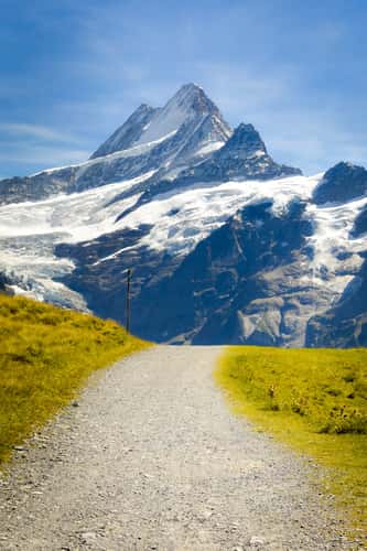 Eiger Ultra Trail, First