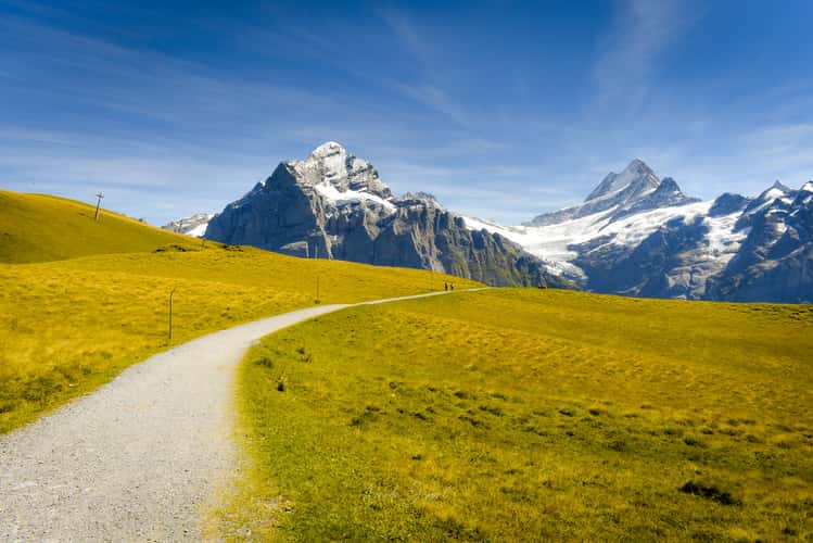 Eiger Ultra Trail, First
