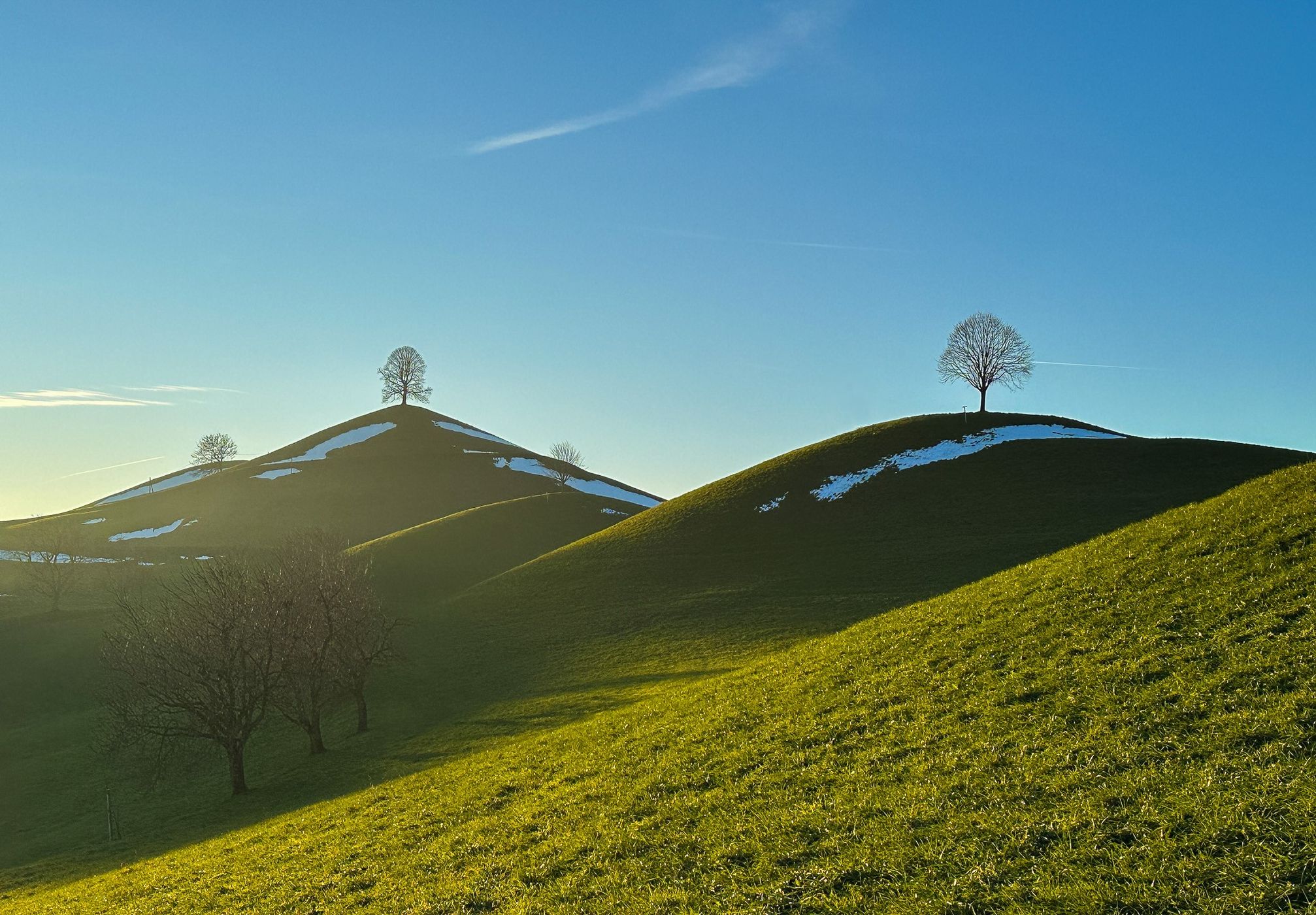 Fairy tale trees, Neuheim, Switzerland
