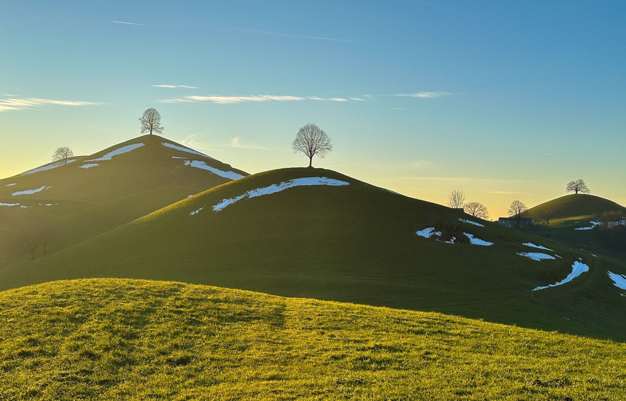 Fairy tale trees, Neuheim, Switzerland