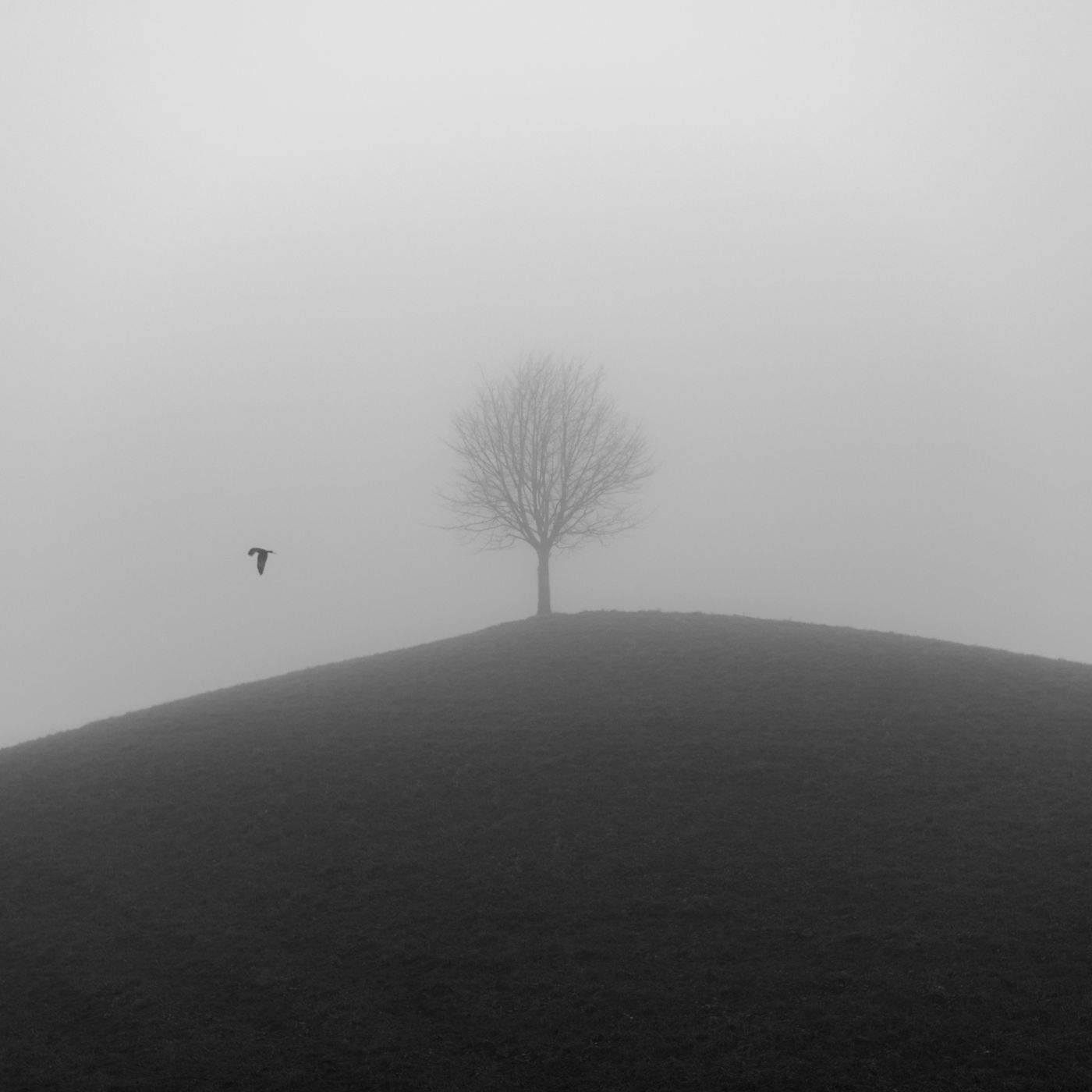 Fairy tale trees, Neuheim, Switzerland