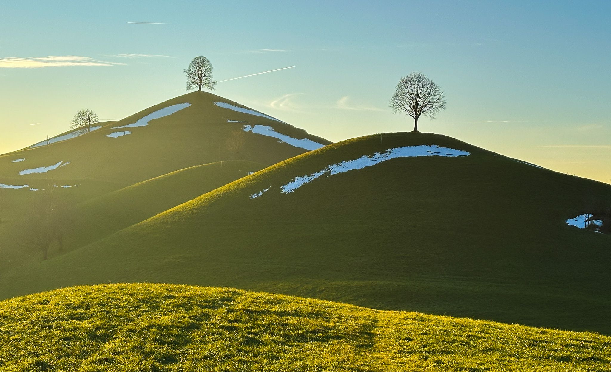 Fairy tale trees, Neuheim, Switzerland