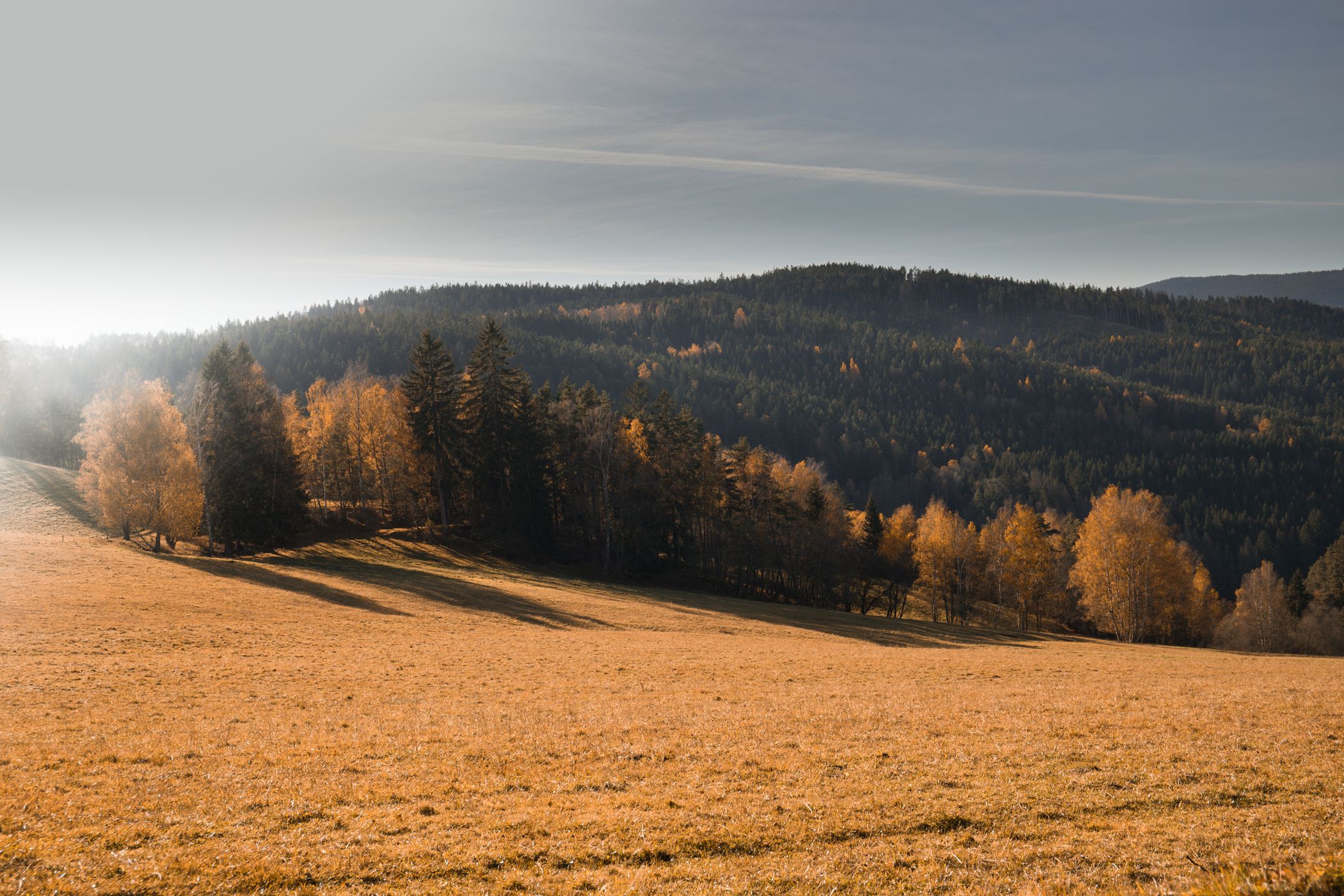 Fields of Šumava, Czech Republic