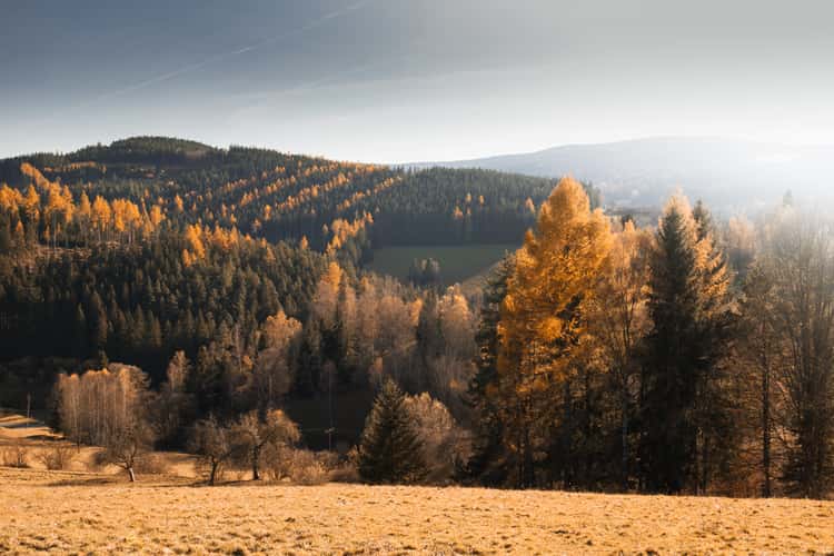 Fields of Šumava