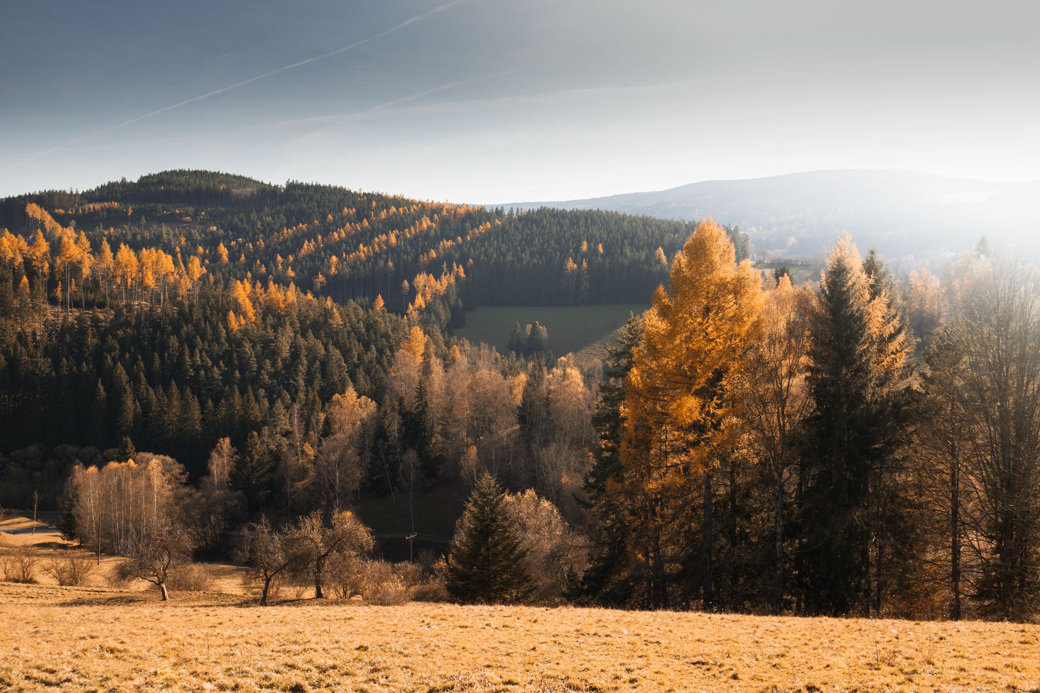 Fields of Šumava, Czech Republic