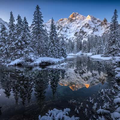 Fish stream in High Tatras National Park, Poland