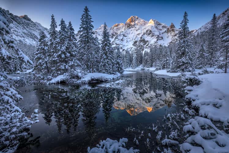 Fish stream in High Tatras National Park