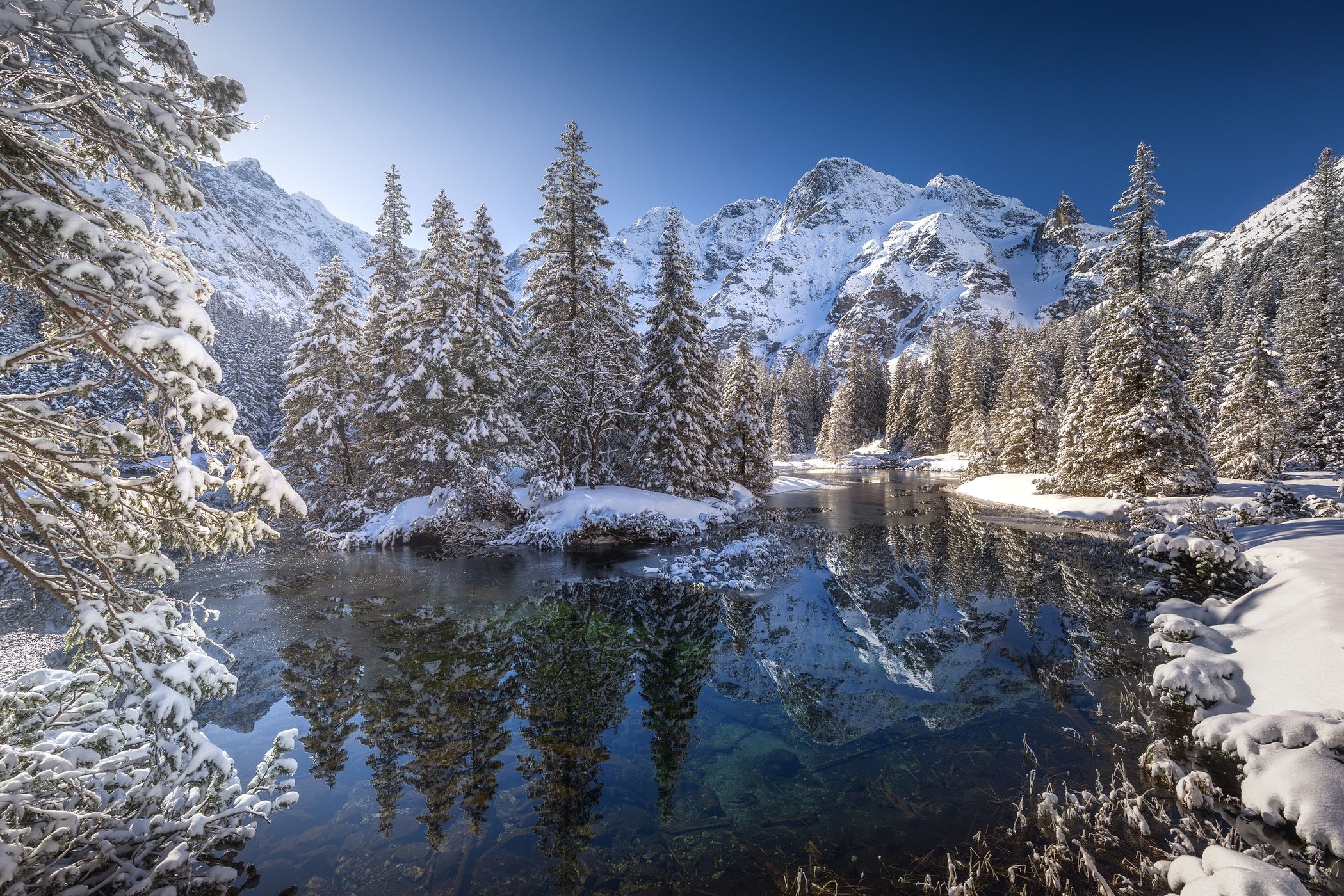 Fish stream in High Tatras National Park, Poland