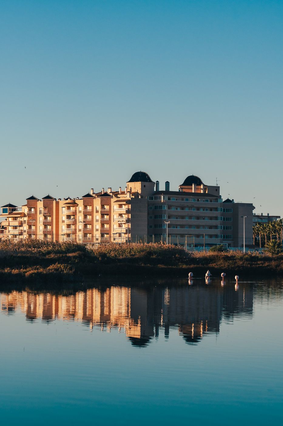 Flamingo Sea, Santa Pola, Spain