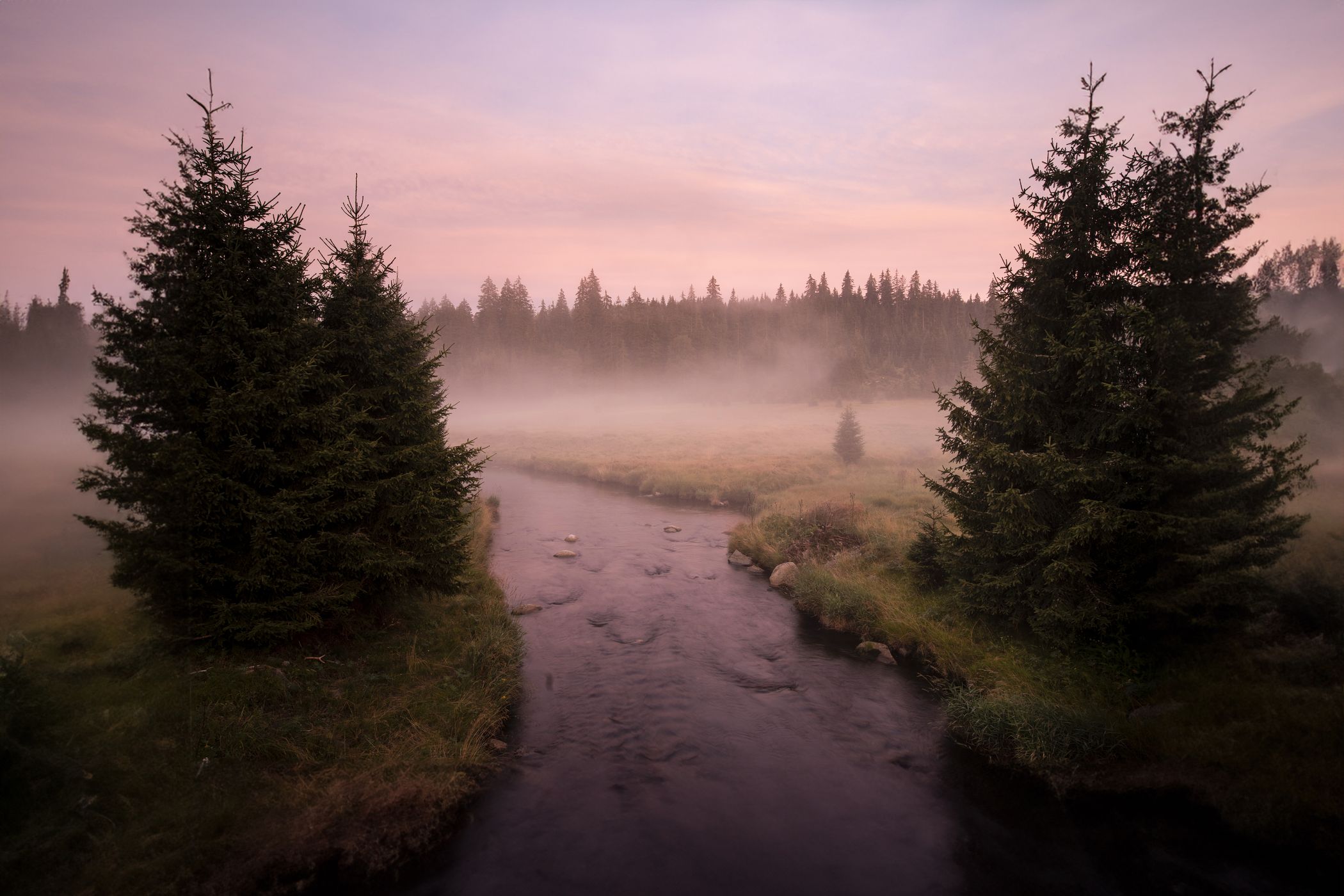 Foggy Meadows of Šumava, Czech Republic