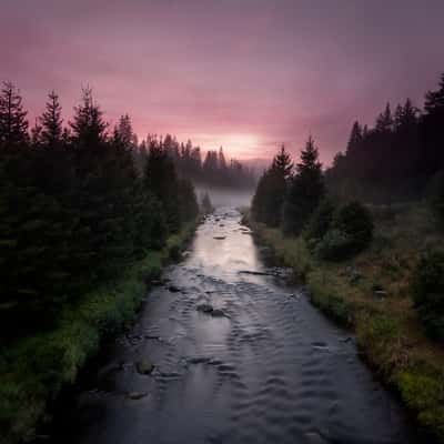 Foggy Meadows of Šumava, Czech Republic