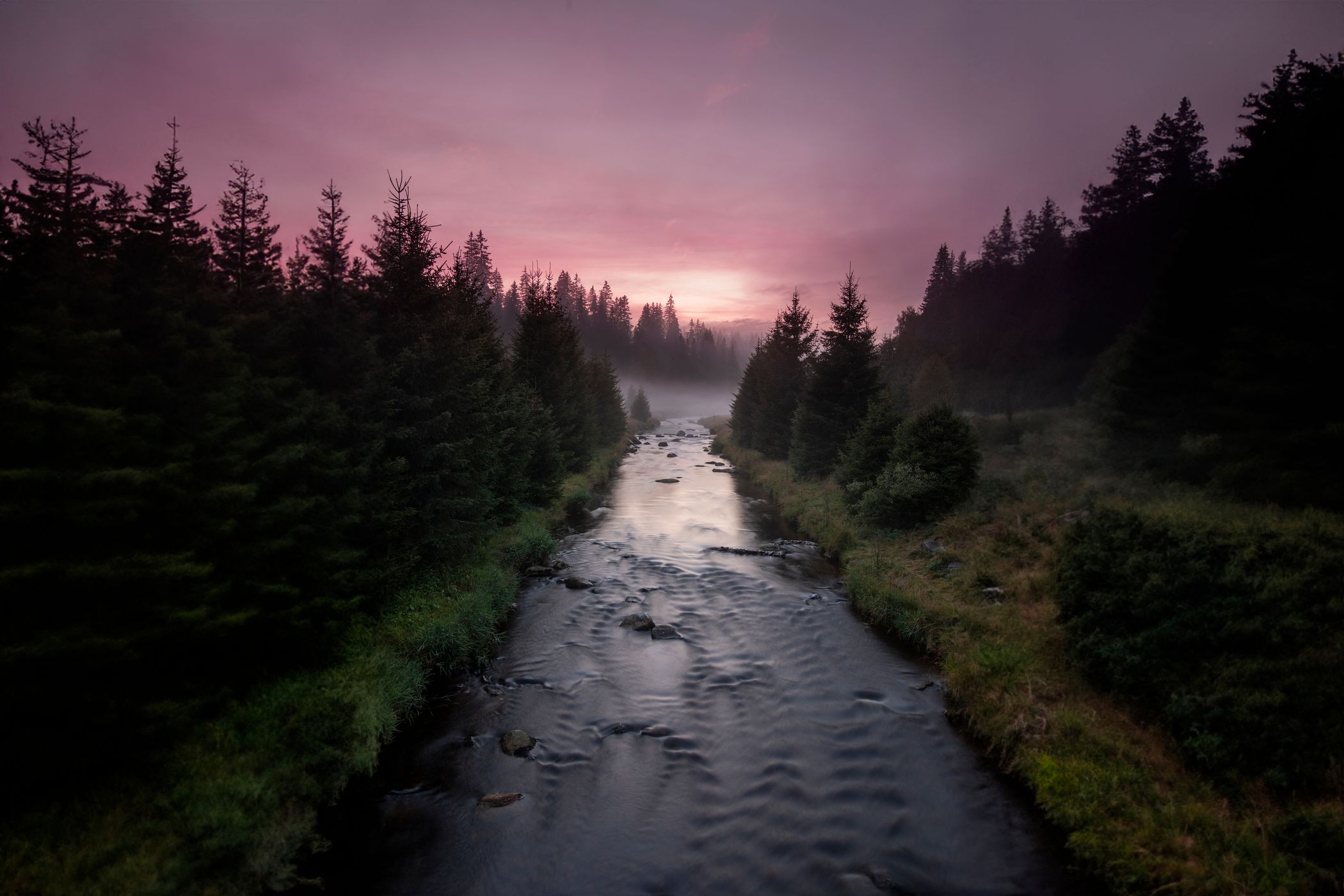 Foggy Meadows of Šumava, Czech Republic