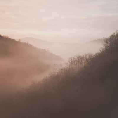 Foggy Valleys of Křivoklát, Czech Republic