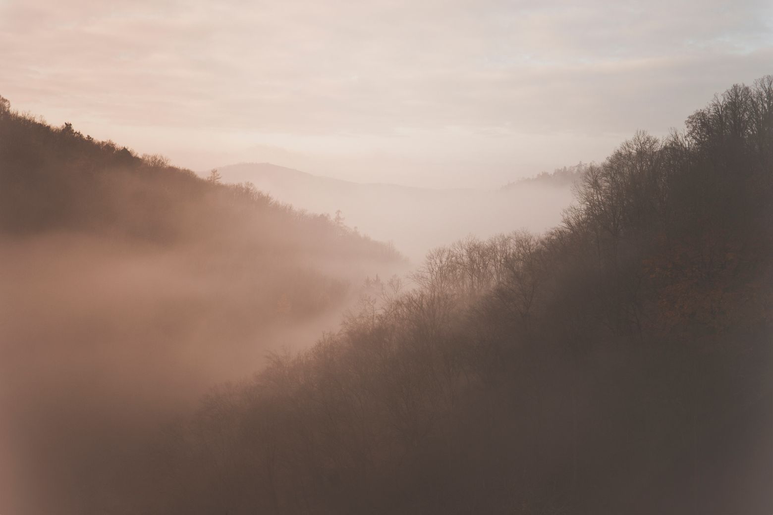Valleys of Křivoklát, Czech Republic