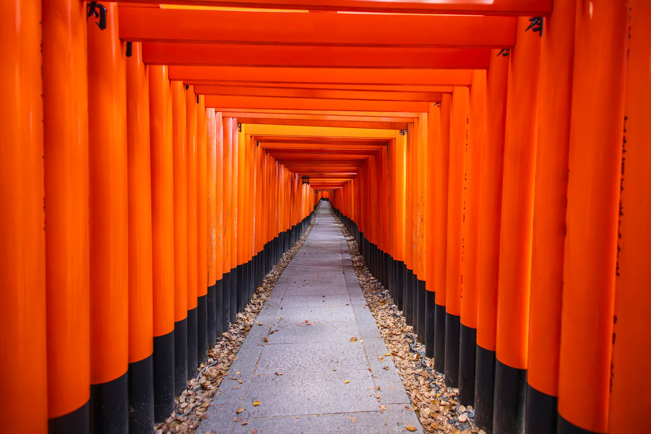 Fushimi Inari-Taisha, Japan