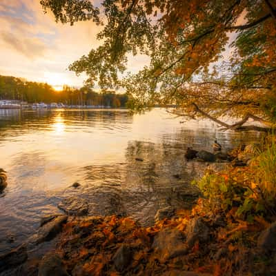 Gänsewerder, Germany