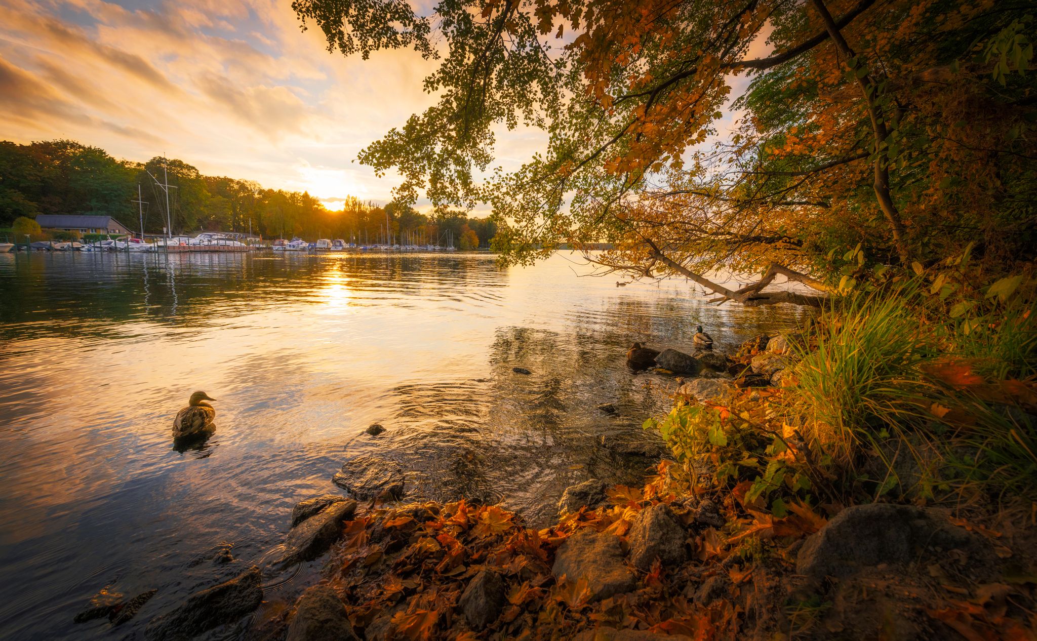 Gänsewerder, Germany