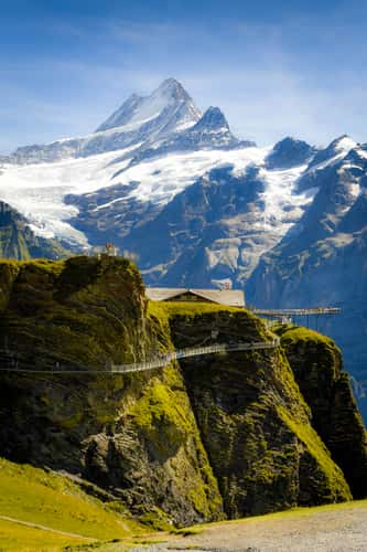 Grindelwald First
