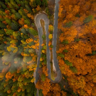 Hairpin Turns in Autumn Forest, Slovenia