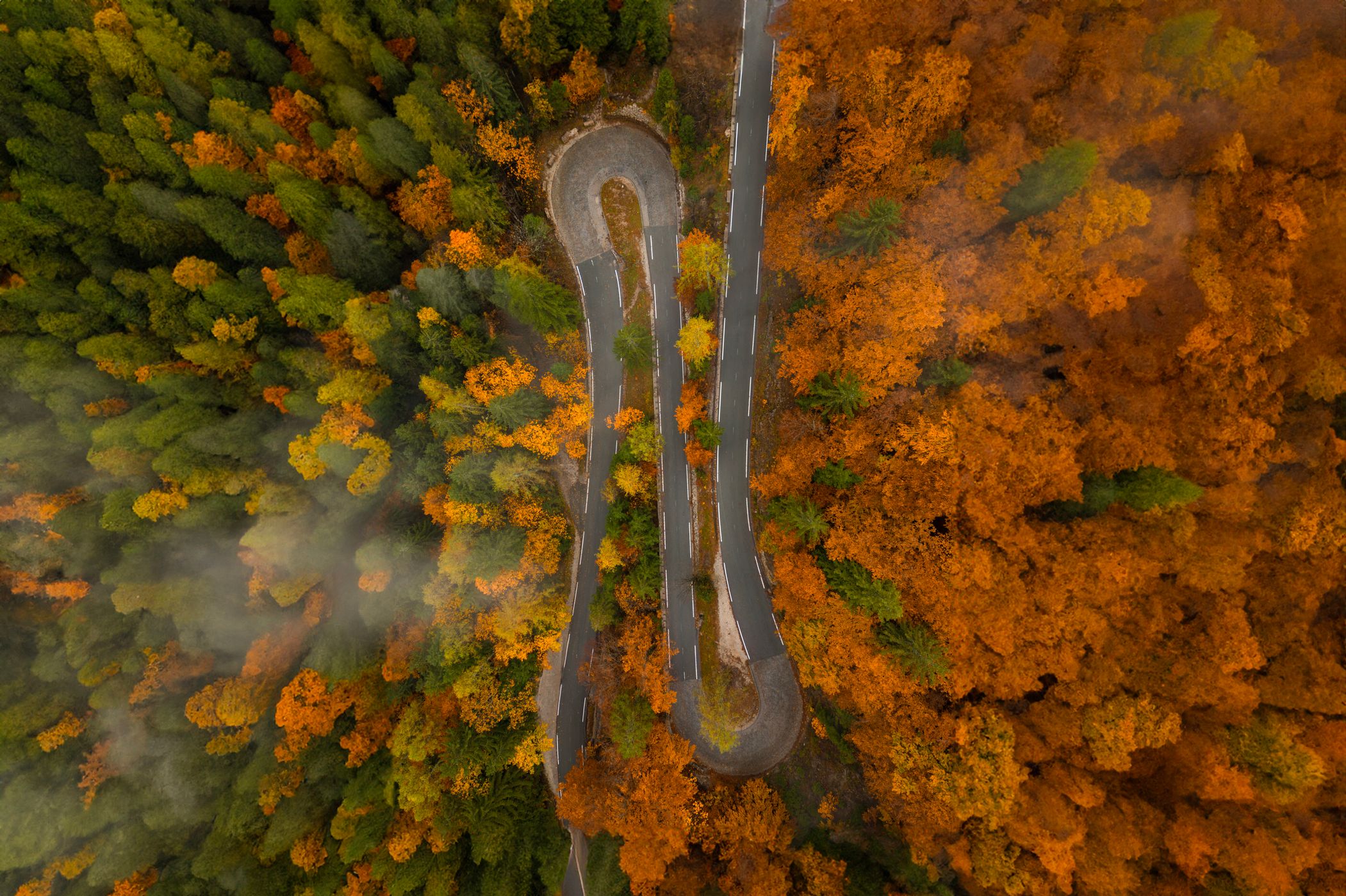 Hairpin Turns in Autumn Forest, Slovenia