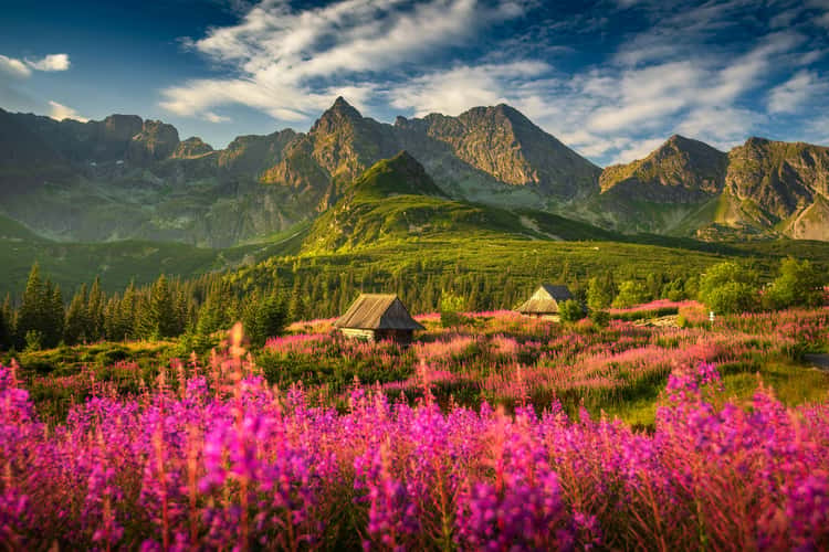 Hala Gasienicowa in High Tatras