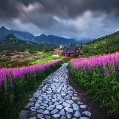Hala Gasienicowa in High Tatras, Poland