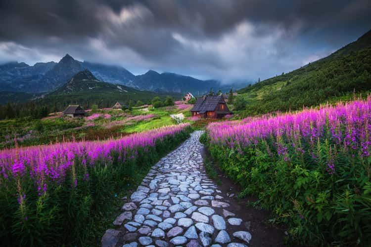 Hala Gasienicowa in High Tatras