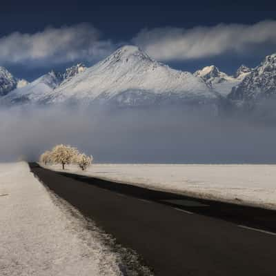 High Tatras  view with nice raod and tree, Slovakia (Slovak Republic)