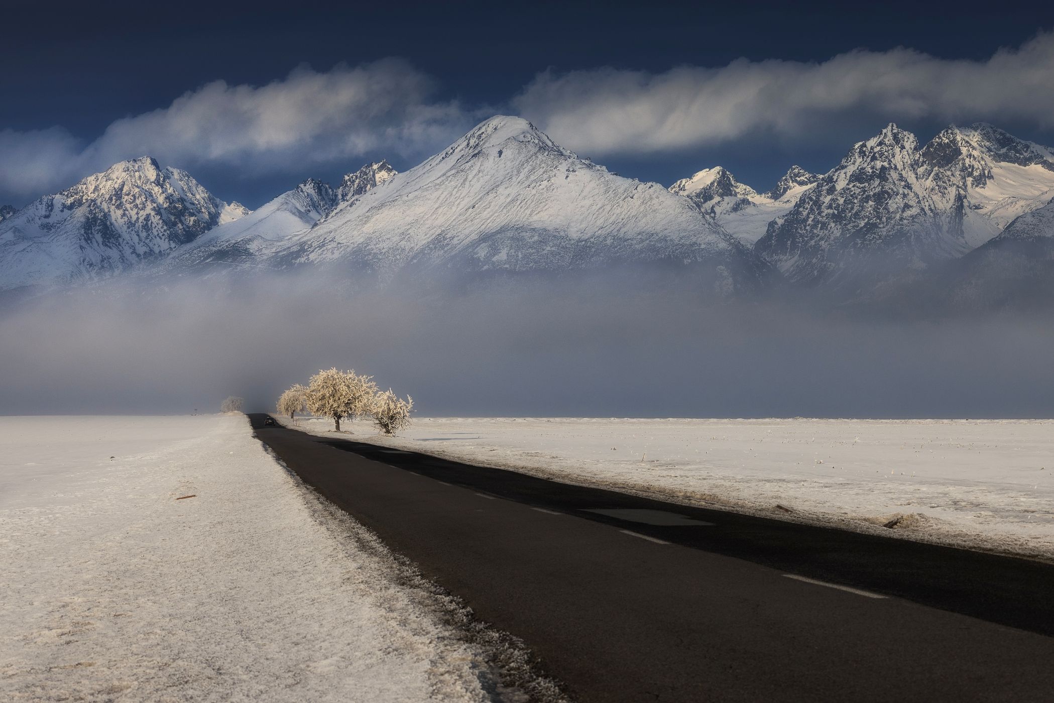 High Tatras  view with nice raod and tree, Slovakia (Slovak Republic)