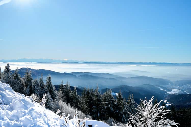 Hochblauen