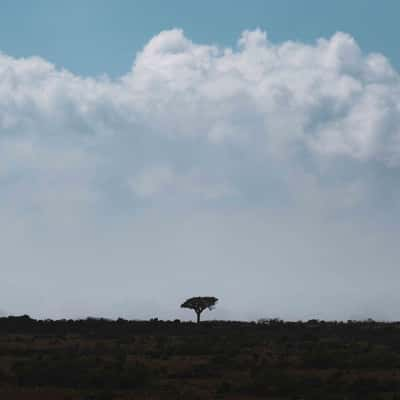 Horizon Views on the plateau, Yemen