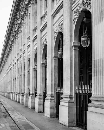 Jardin du Palais Royal, Paris