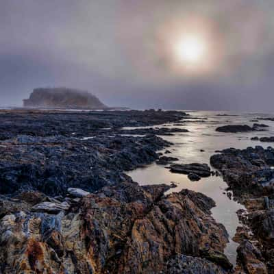 Jimmies Island, Rosedale Beach, South Coast NSW, Australia